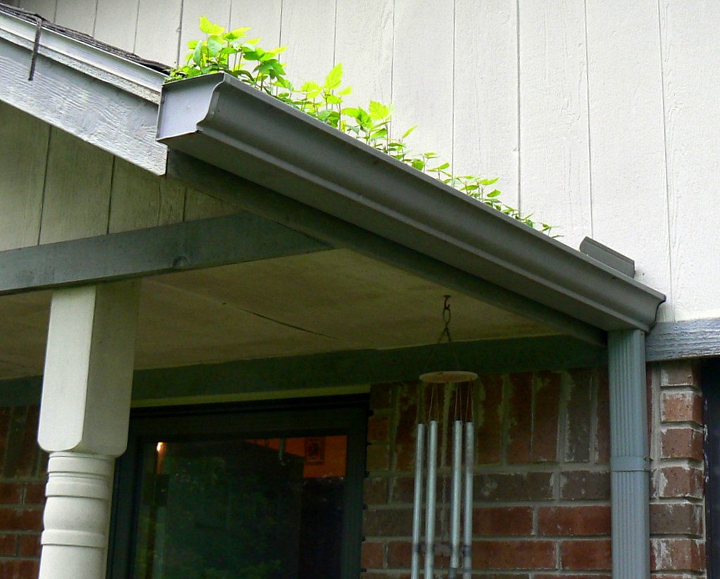 Gutter cleaning