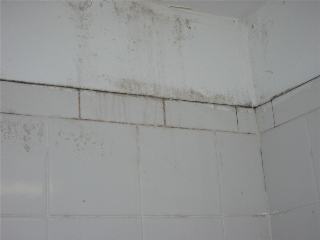 Laser mould and organic contaminant removal